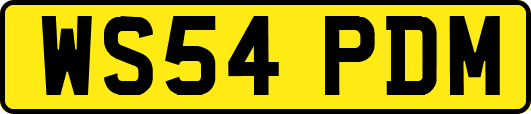 WS54PDM