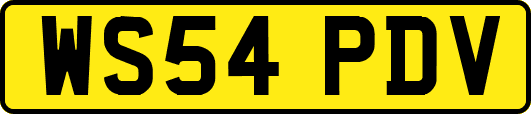 WS54PDV