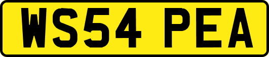 WS54PEA