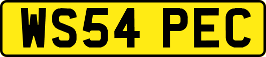 WS54PEC