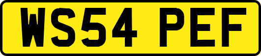 WS54PEF