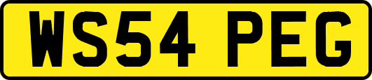WS54PEG
