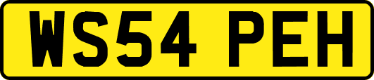 WS54PEH