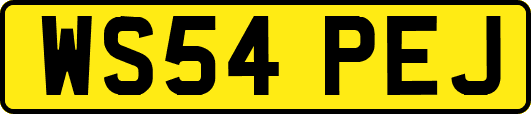 WS54PEJ