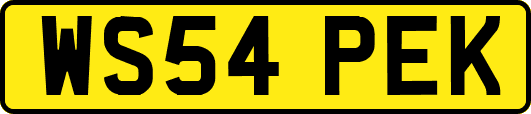 WS54PEK