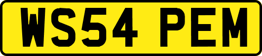 WS54PEM