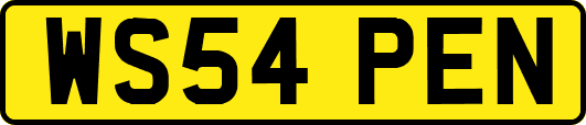 WS54PEN