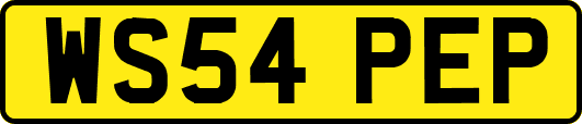 WS54PEP