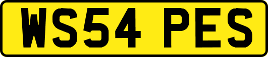 WS54PES