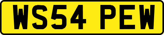 WS54PEW