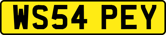 WS54PEY