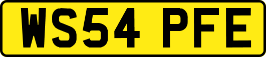 WS54PFE