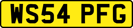 WS54PFG