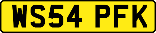 WS54PFK