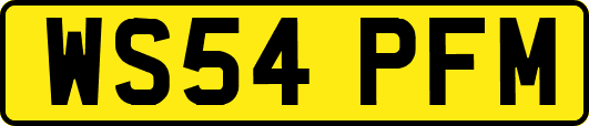 WS54PFM