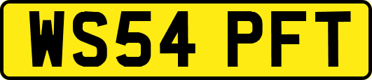 WS54PFT