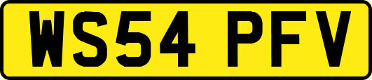 WS54PFV