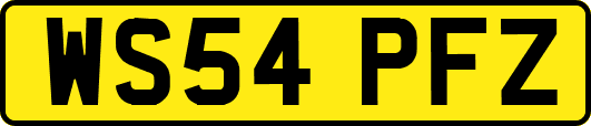 WS54PFZ