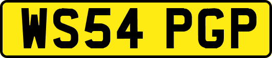 WS54PGP