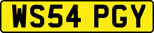 WS54PGY