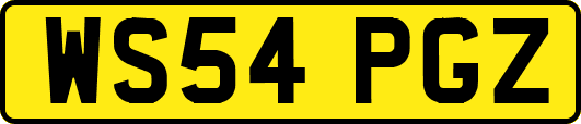 WS54PGZ