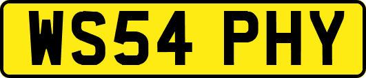 WS54PHY