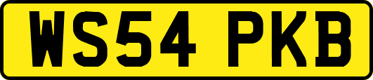 WS54PKB