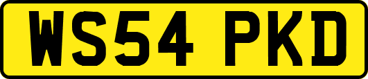 WS54PKD