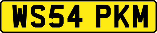 WS54PKM