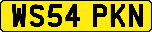 WS54PKN