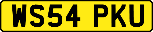 WS54PKU