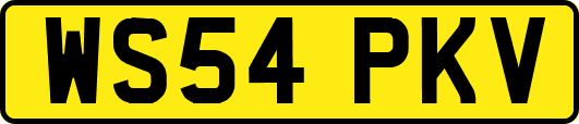 WS54PKV
