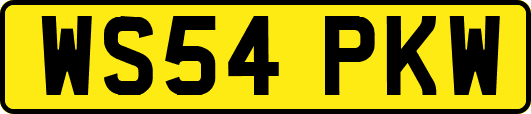 WS54PKW