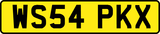 WS54PKX