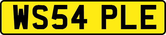 WS54PLE