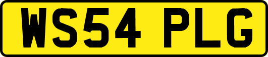 WS54PLG