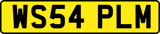 WS54PLM