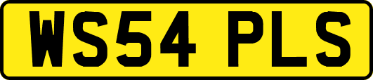 WS54PLS