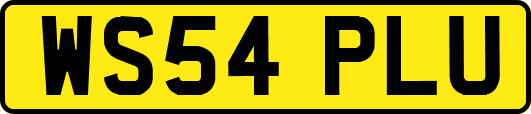 WS54PLU