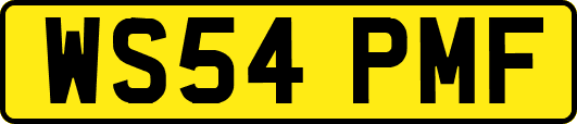 WS54PMF