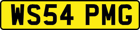 WS54PMG