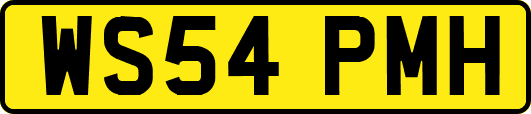 WS54PMH
