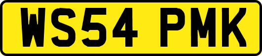 WS54PMK