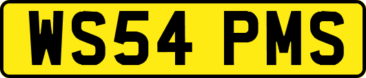 WS54PMS