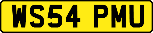 WS54PMU