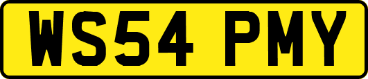 WS54PMY