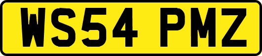 WS54PMZ