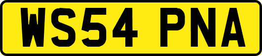 WS54PNA