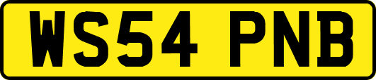 WS54PNB