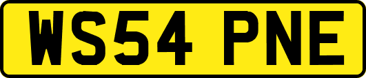 WS54PNE